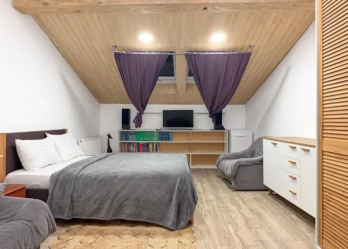 оперний театр площа ринок спальня і кухня-вітальня Apartment